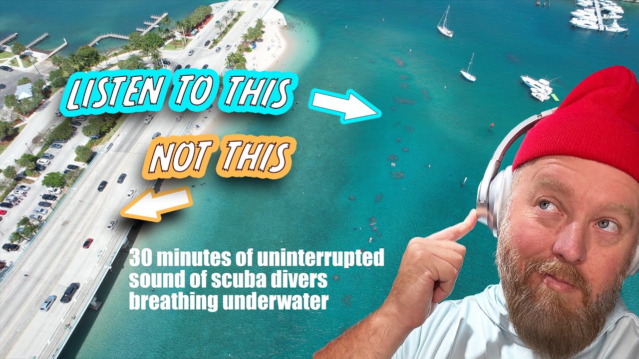 30 minutes | Sound of Scuba Divers breathing underwater, uninterrupted | No music or talking ASMR🤿🎧🐠