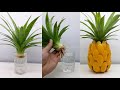 Make a Pineapple Bonsai use plastic spoons | Cách trồng dứa thủy canh làm chậu cảnh để bàn làm việc