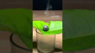 1000° Red Hot Ball vs Leaf! 🌿🔥 #shorts #experiment #science