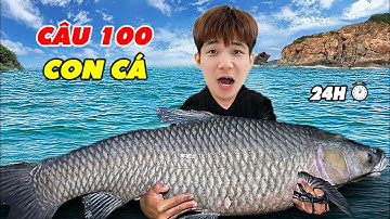 Thử Thách Câu 100 Con Cá Trong 24h