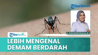 Apa Itu Demam Berdarah? Penyakit Akibat Virus Dengue yang Ditularkan Nyamuk Aedes Aegypti