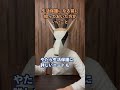 生活保護になる前に知っておいた方がいいこと #生活保護 #生活保護ユーチューバー
