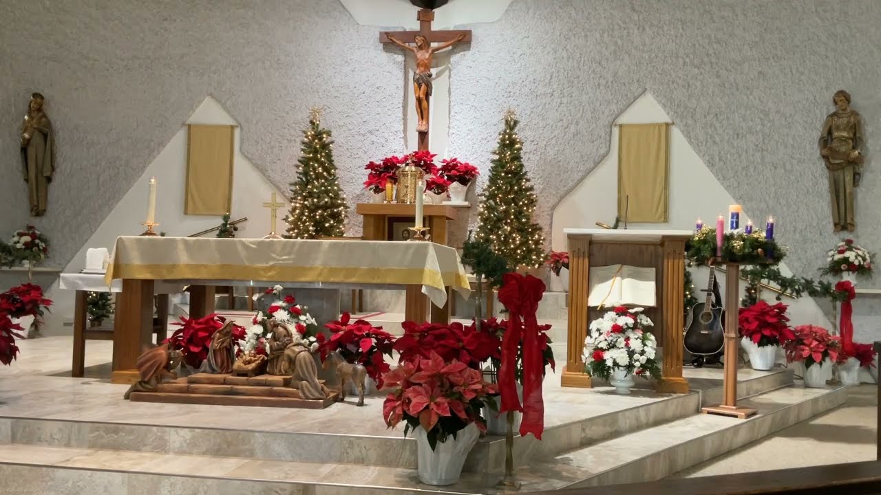 English Mass with Father Licari 1/1/25 at St. John the Evangelist Catholic Church Pensacola, FL