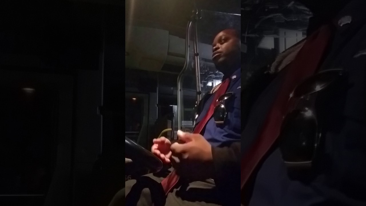 My Greyhound experience so far.....