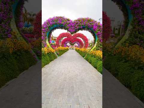 Welcome to Dubai Miracle Garden Amazing View | #shorts #shortvideo #ytshorts #dubaicity #miracle