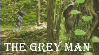 Finding a small Grey Man in the woods