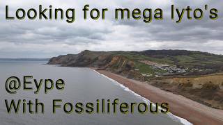 Fossil hunting with @fossiliferous @eype looking for mega lytos