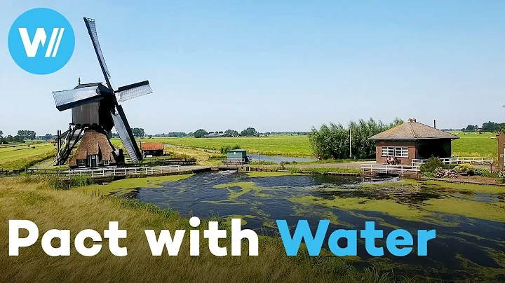 The Dutch Strategy: Why the Netherlands Floods Its Own Land | Water is our Future (5/5)