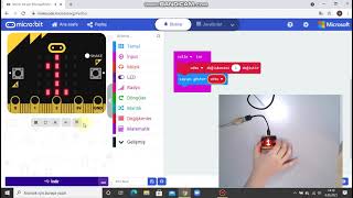 4 Micro Bit Adım Sayar