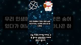 오늘의 염소자리 운세 3월 19일 #별자리운세 #별자리 #오늘운세