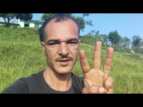 Pandey jee uttrakhand is live cal Raat 4:00 baje se lagatar ho rahi barish subah ke 9:00 bajane tak