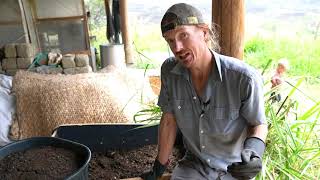 3 Reasons why every Mushroom Grower should be a Vermiculturist.