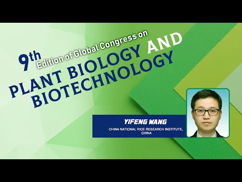 Yifeng Wang | China National Rice Research Institute | China | GPB 2025