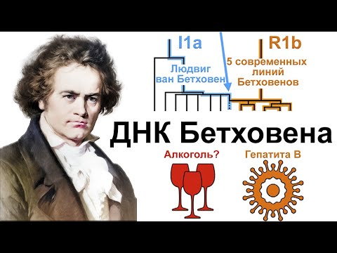 Генетический анализ волос Людвига ван Бетховена