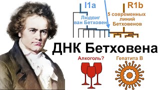 Генетический анализ волос Людвига ван Бетховена