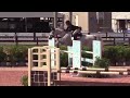 Hailey Royce and D. Millfield Darin - 8th Low Junior Jumpers WEF 2020