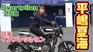 最終値下げHusqvarna Svartpilen250 ハスクバーナ スヴァルトピレン250 mqdefault.jpg