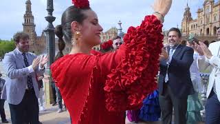 Vignette de la vidéo "VIVIR LA FERIA - CALLE BOTICA"