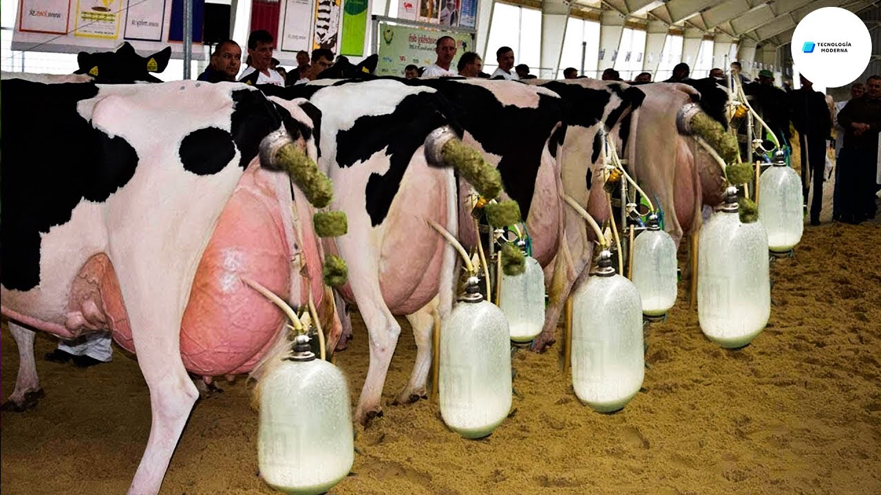 hulp bij inloggen