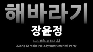 Jang Yoon Jung (장윤정) - Sunflower (해바라기) (Instrumental) (Karaoke)