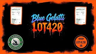 Blue Gelatti By Lot420 Review