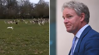 Tory MP fined after dog causes deer stampede in Richmond Park