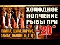 ХОЛОДНОЕ КОПЧЕНИЕ РЫБЫ. Рыба холодного копчения при - 20. Копчение рыбы в лесу. Бушкрафт кухня