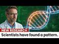 What Your DNA Actually Reveals About Your Athletic Ability Based on Your Ancestry