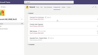 Students  Teams Access Assignments