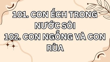 CON ẾCH TRONG NƯỚC SÔI - CON NGỖNG VÀ CON RÙA | Chậm Lại Một Chút
