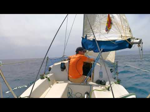 #50 Wind Lord viento muy flojo de pie