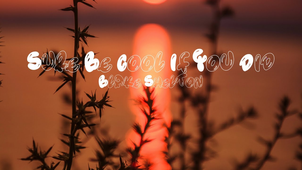 Blake Shelton-Sure Be Cool If You Did (Lyrics) - YouTube