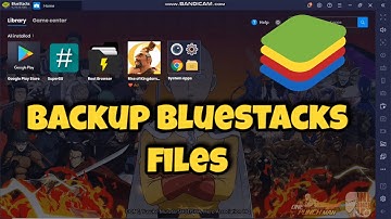 How to backup bluestacks files and game data