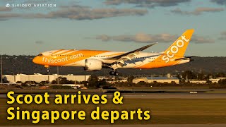 Scoot (9V-OFC) arrives and Singapore Airlines (9V-SCO) departs RW03 at Perth Airport.