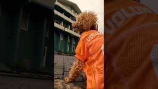 Teaser of "Knoxville - Rocky Top Country"