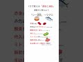 1分で覚える遅筋と速筋【#管理栄養士国家試験】#管理栄養士 #骨格筋 #アヒル #人体の構造と機能および疾病の成り立ち #遅筋 #速筋 #赤筋 #白筋 #ミトコンドリア #応用栄養学