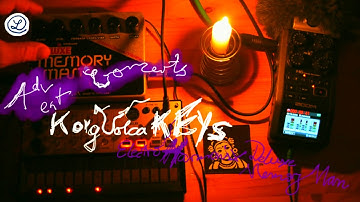 ADVENT CONCERTS // KORG VOLCA KEYS // Electro Harmonix Deluxe MEMORY MAN