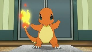 Pokémon Origins: série animada vai relembrar os primeiros games da  franquia, veja o trailer - Arkade