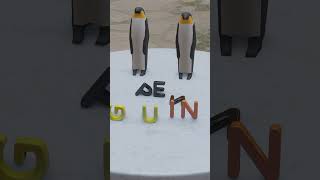 Penguin - Table ABC - Kids ABC Learning