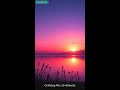 🌌 Dreamy Soundscapes | 1 Hour Chillstep Mix | Full 1 Hour Version 👇 #shorts