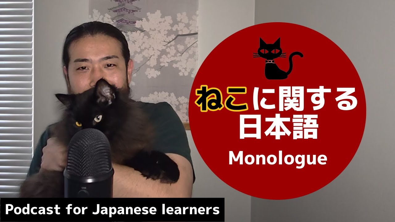 122猫のことわざ / Cat proverbs 【JP & EN subtitles】 JLPT N4 / N3