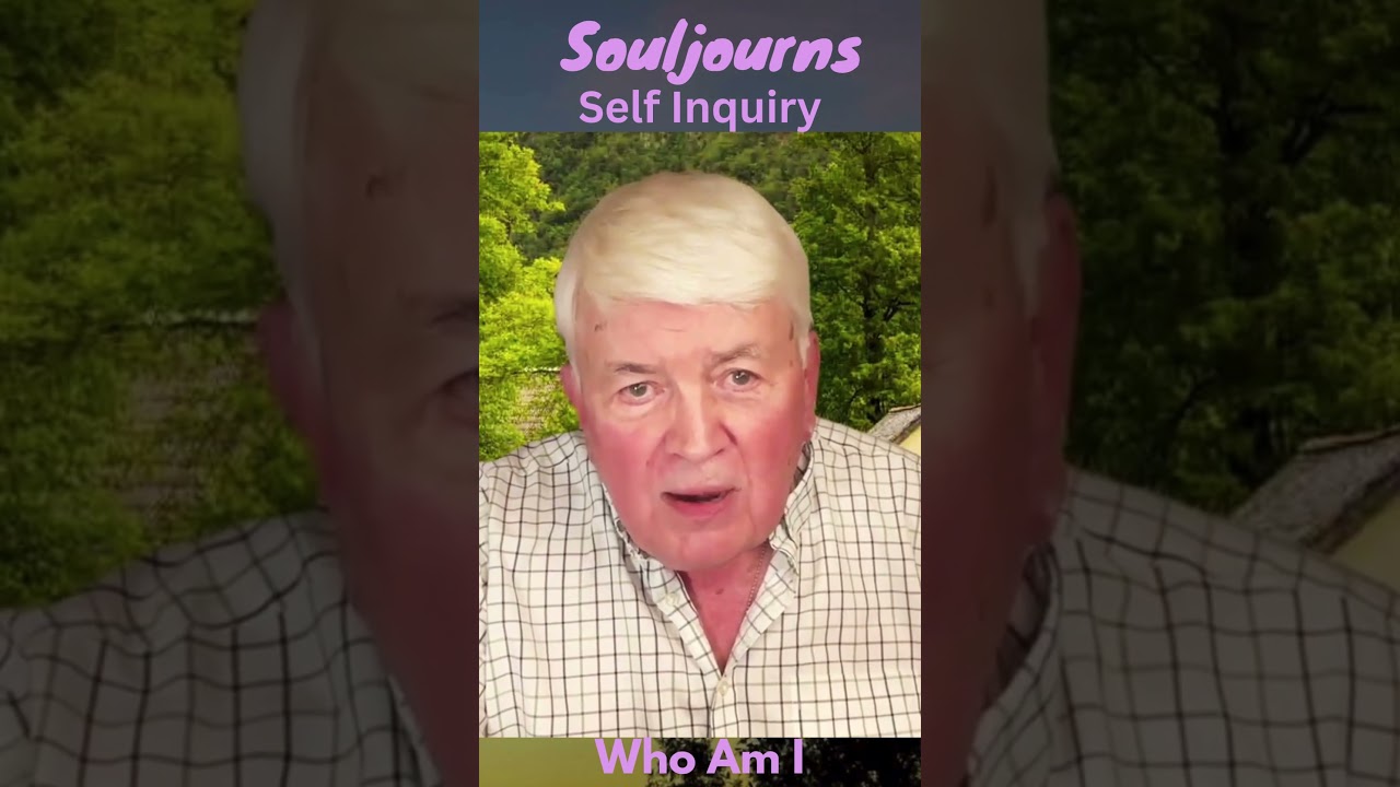 - Souljourns - Аннамалай Свами - Во что вы хотите верить? - 345