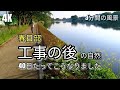 春日部【護岸(遊歩道)工事の40日後】こうなりました 古利根川(藤塚橋~ゆりのき橋)【4K】2023.05.13 Vlog(X-S10)= 40 days after bank protection