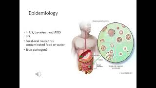 Intestinal Protozoa-Microbiology