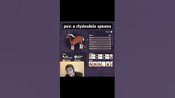 when a clydesdale spawns in Horse Life — #horseliferoblox #horselife #fyp #funny #roblox