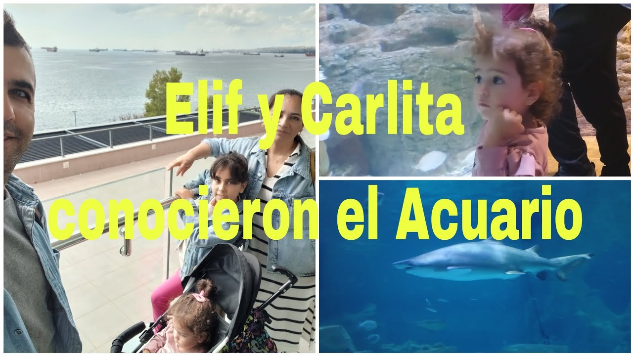 CONOCEMOS EL ACUARIO DE ESTAMBUL