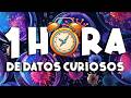 ¡ 1 HORA sin pausas de DATOS CURIOSOS y COSAS QUE NO SABÍAS ! ⏰😲1196 #curiomaníatv