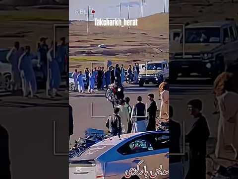 سدیس بارکزی وقتی داخل جاده ها تکچرخ میزنه Shorts 