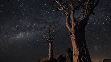 Create epic 8K UHD time-lapse movies with the Nikon D850