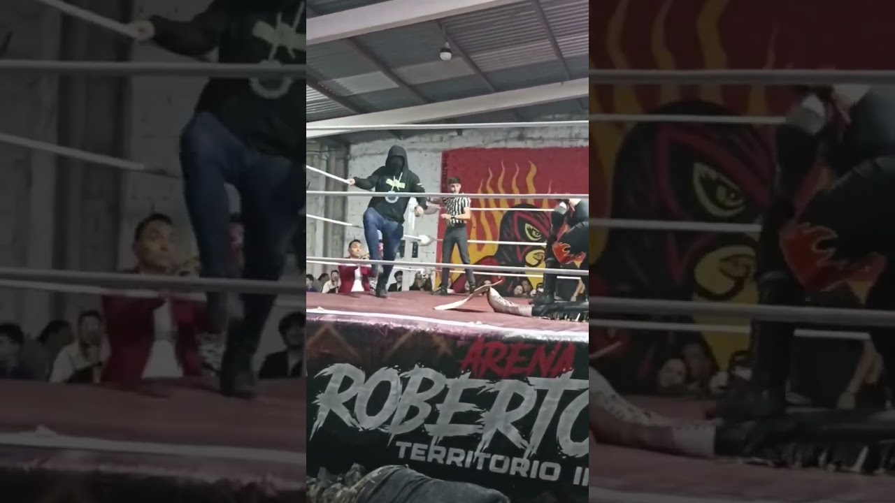 sagaz vs ragnaroth 17/10/25